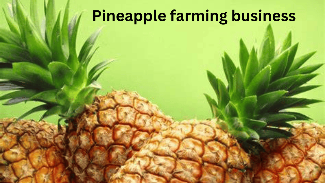 Pineapple