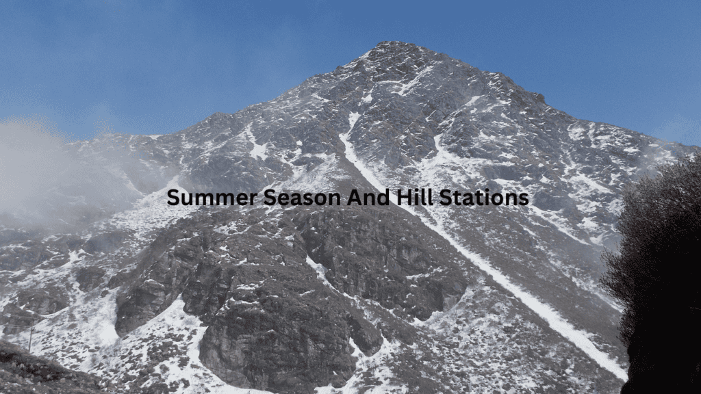 Summer Season Summer Season