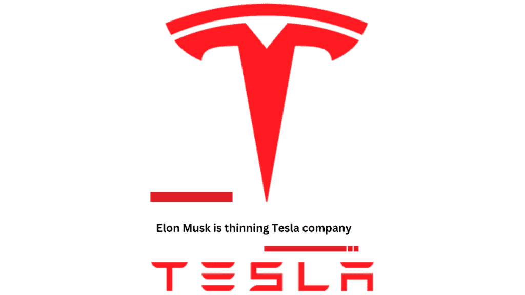 Tesla Company