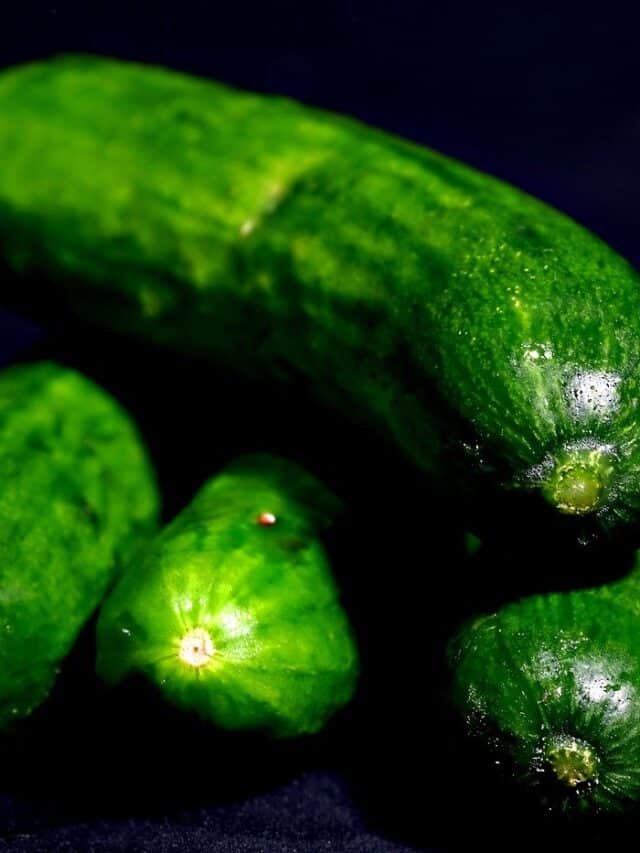 Cucumbers