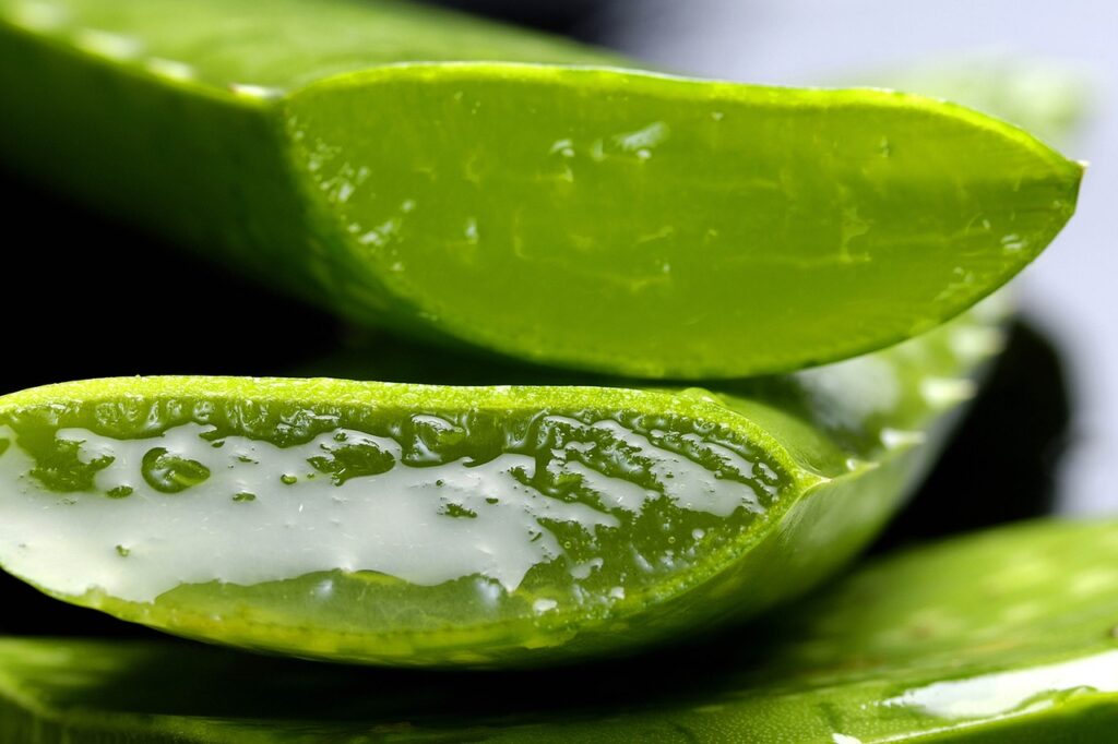 Aloe vera gel benefits Aloe vera gel benefits