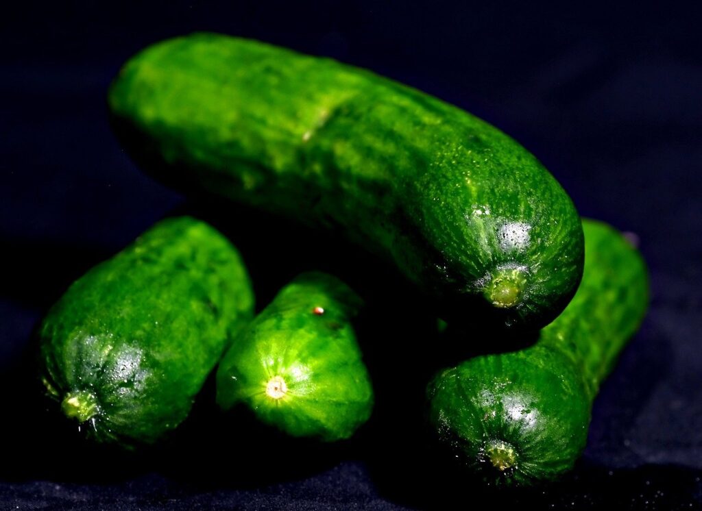 Cucumbers Cucumbers
