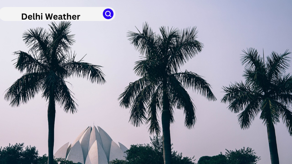 Delhi 1 4 Delhi 1 4