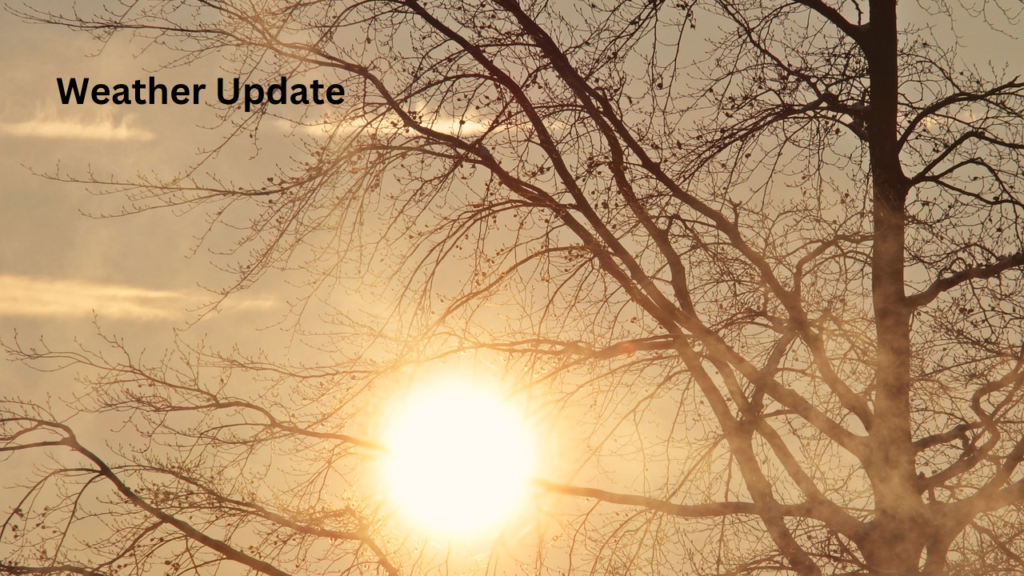 Delhi Weather Update