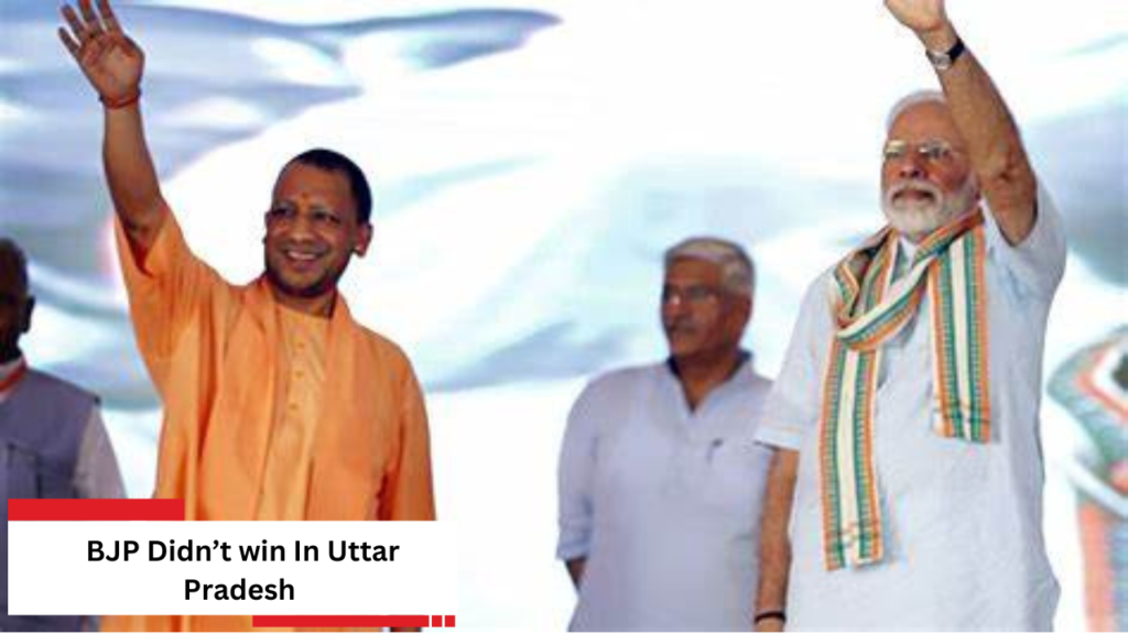 Election 2024 3 Election 2024 3