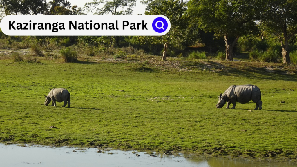 Kaziranga National Park Kaziranga National Park