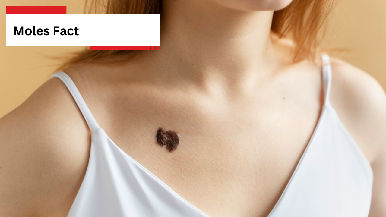 Moles Fact