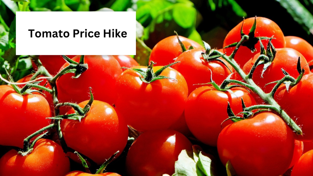 Tomato Price Hike