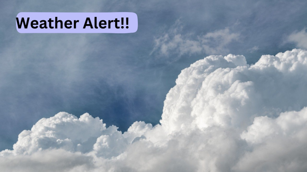 Weather 7 Weather 7