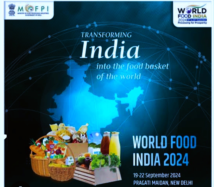 WhatsApp Image 2024 06 20 at 14.58.55 12f213f8