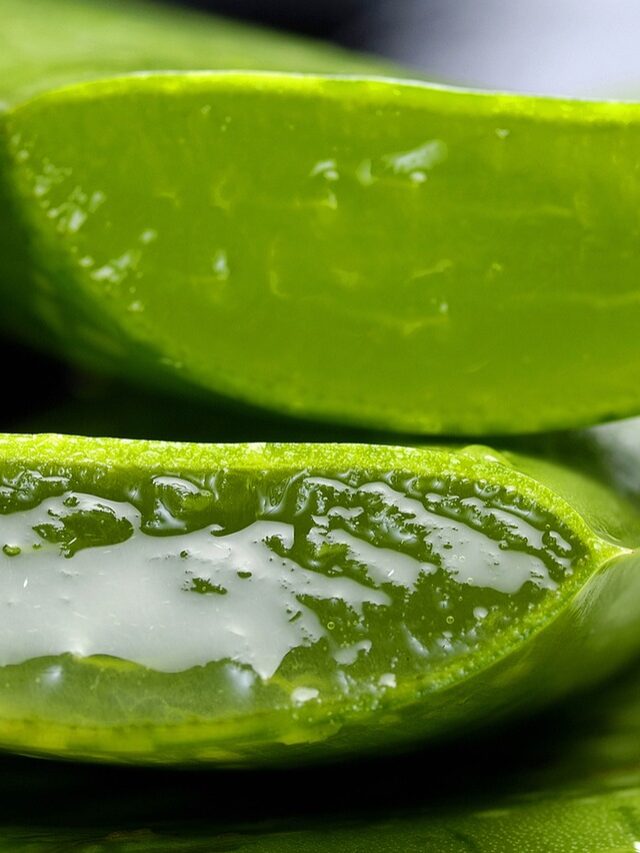 Aloe vera gel benefits