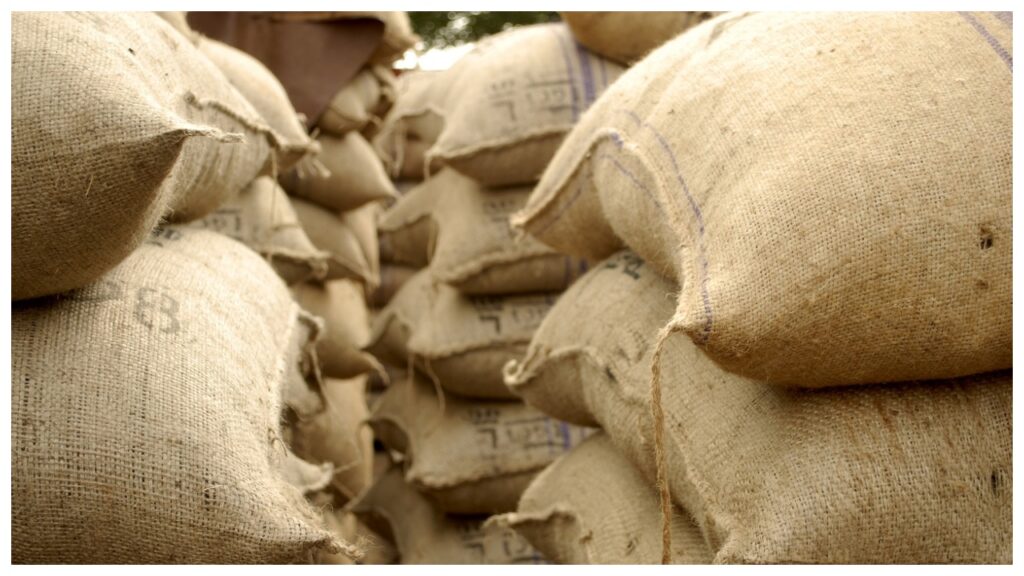 jute jute