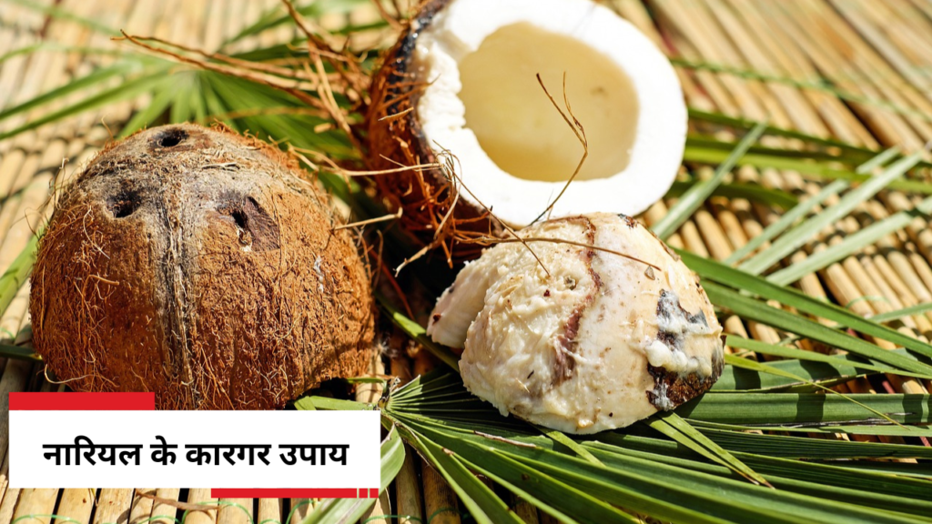 nariyal ke upaye