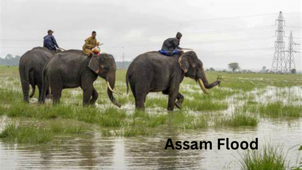 Assam Flood 1 Assam Flood 1