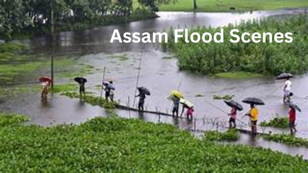 Assam Flood Scene Assam Flood Scene