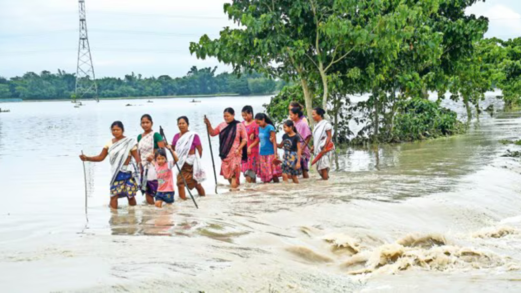 Assam Flood Scenes Assam Flood Scenes