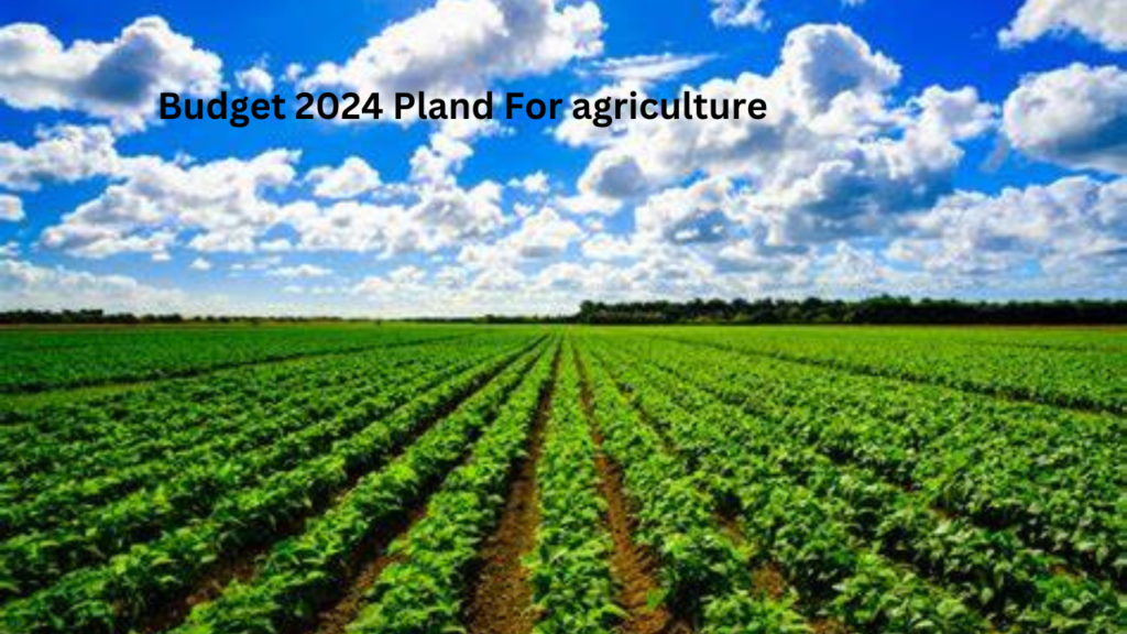Budget 2024 2 Budget 2024 2