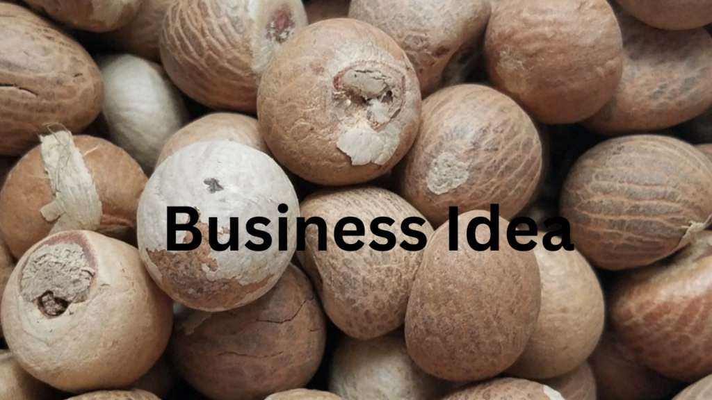 Business Idea 4 Business Idea 4