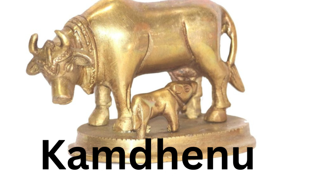 Kamdhenu 1 Kamdhenu 1