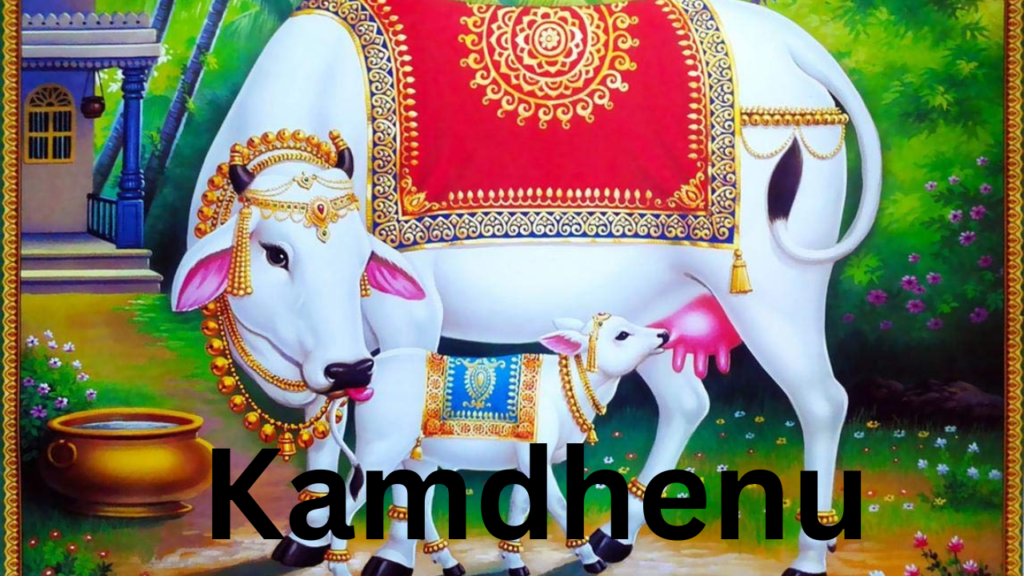 Kamdhenu Kamdhenu