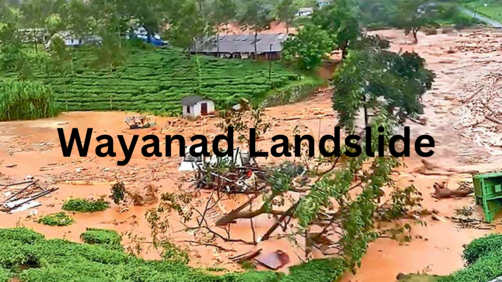 Wayanad Landslide 1 Wayanad Landslide 1