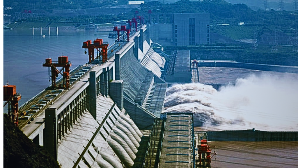 dam4 dam4