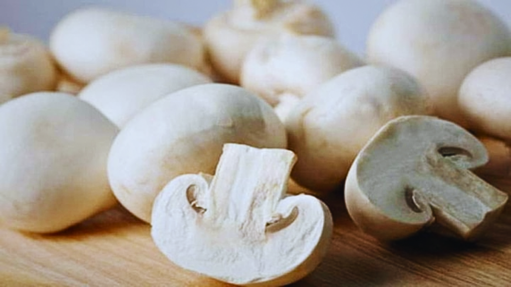 mashroom3 mashroom3