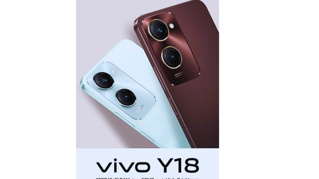 vivo vivo