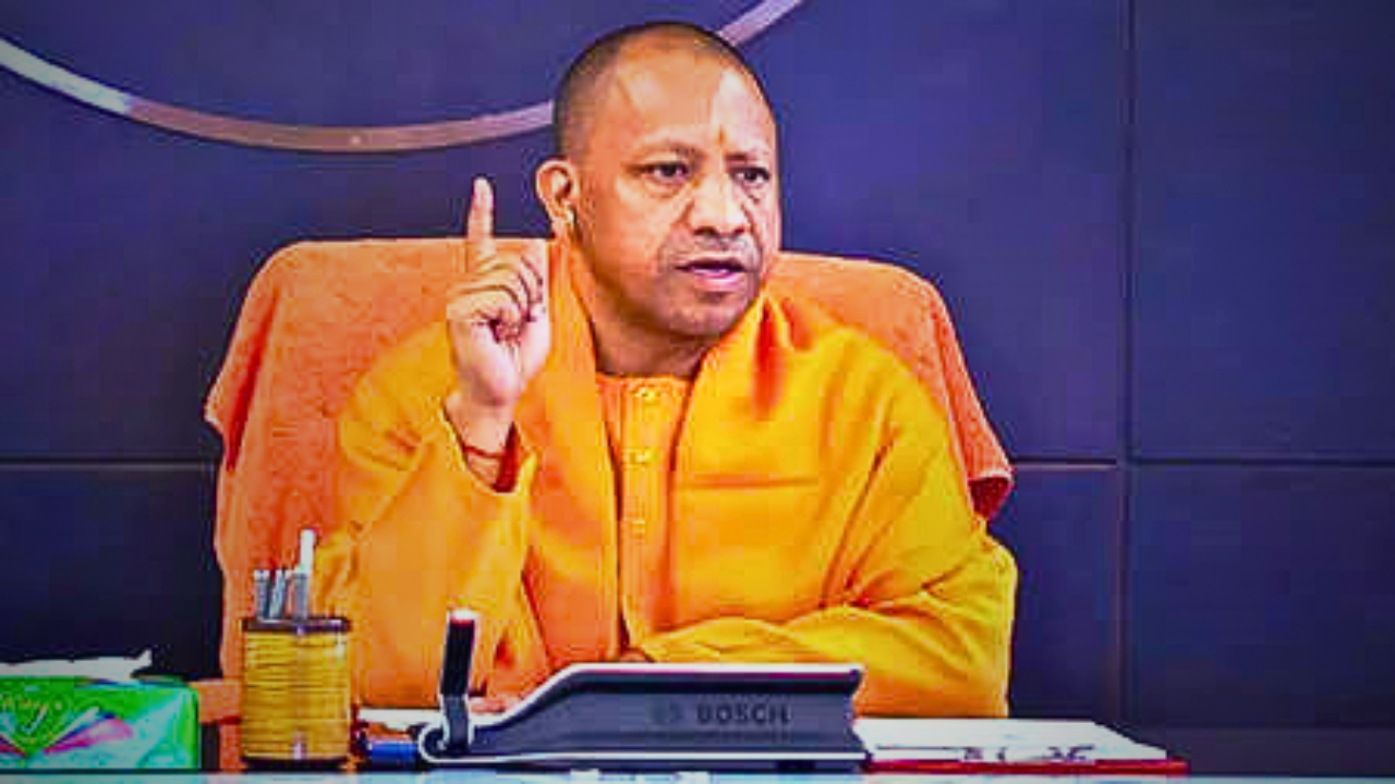 yogi4