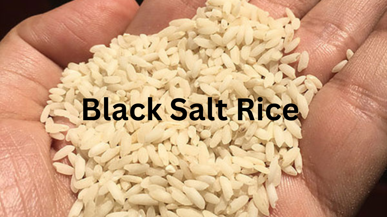 Black Salt Rice