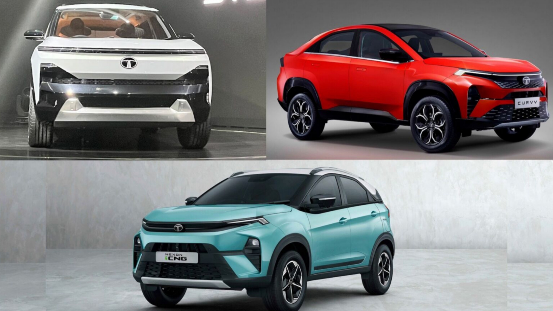 Picsart 24 08 11 09 04 07 361