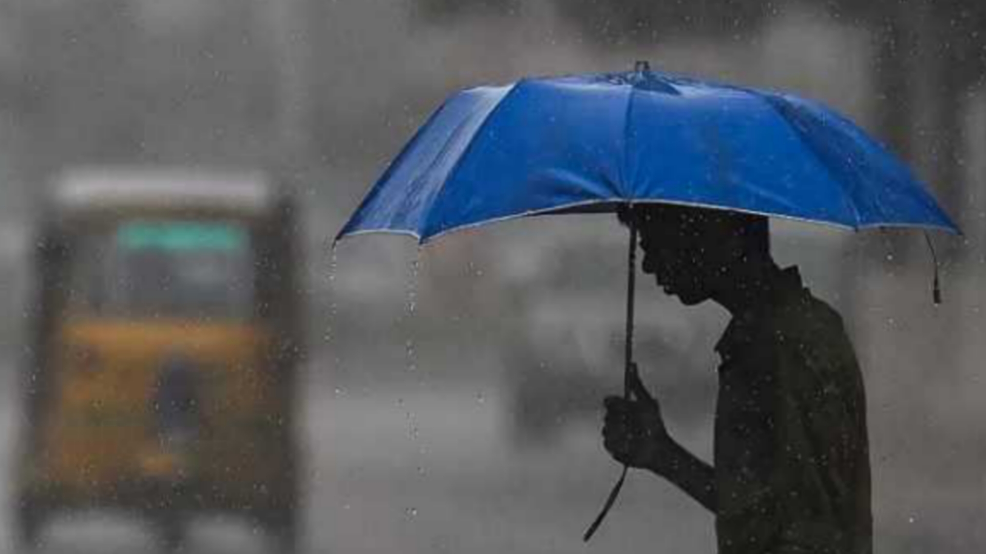 Picsart 24 08 13 12 40 41 288