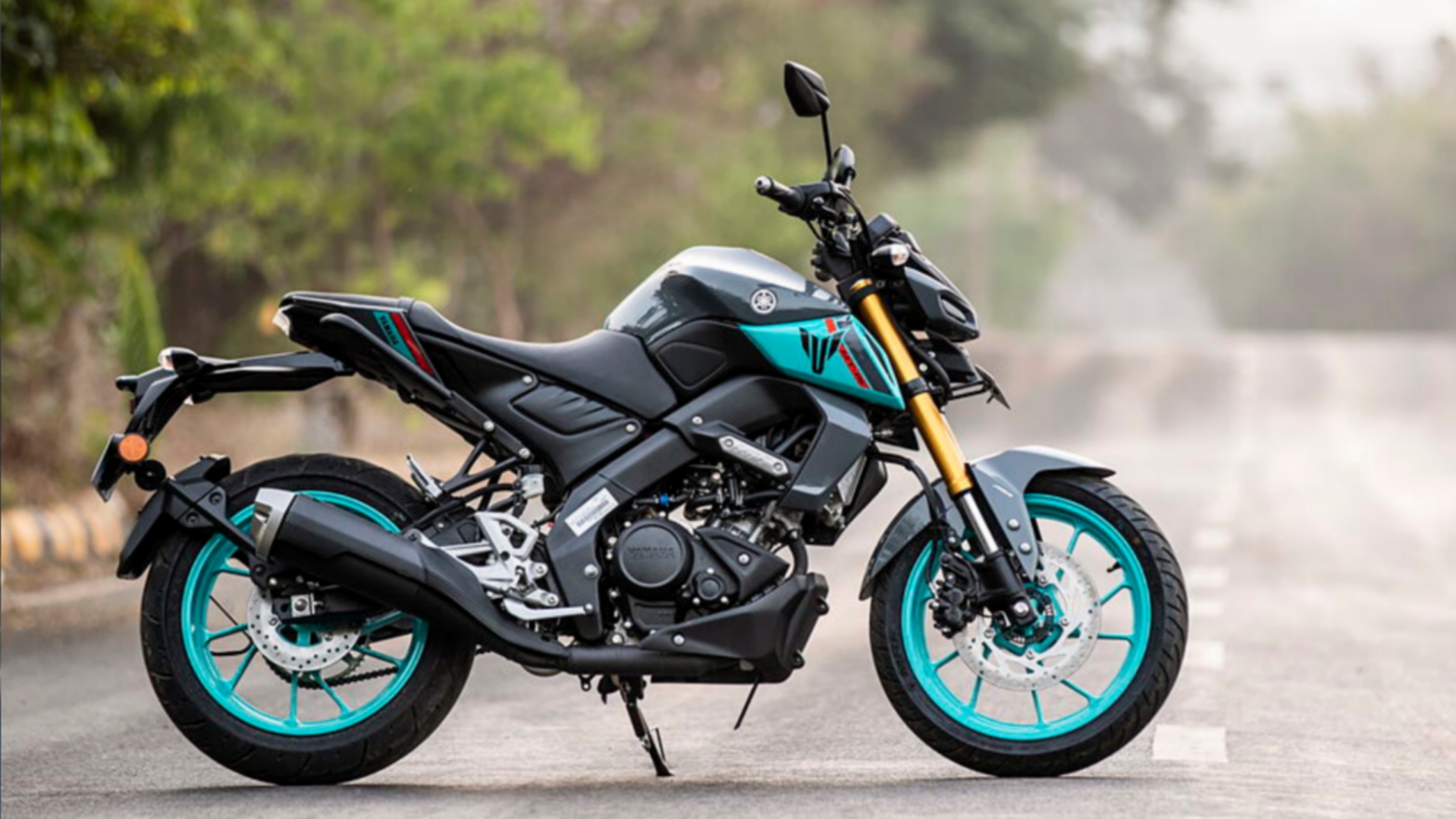 Picsart 24 08 13 13 04 11 980