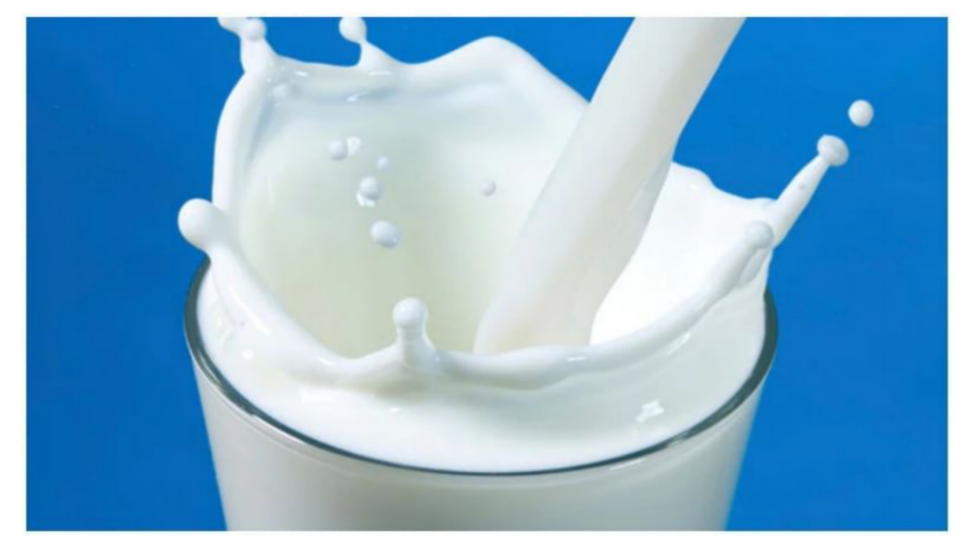 Picsart 24 08 14 07 41 49 131