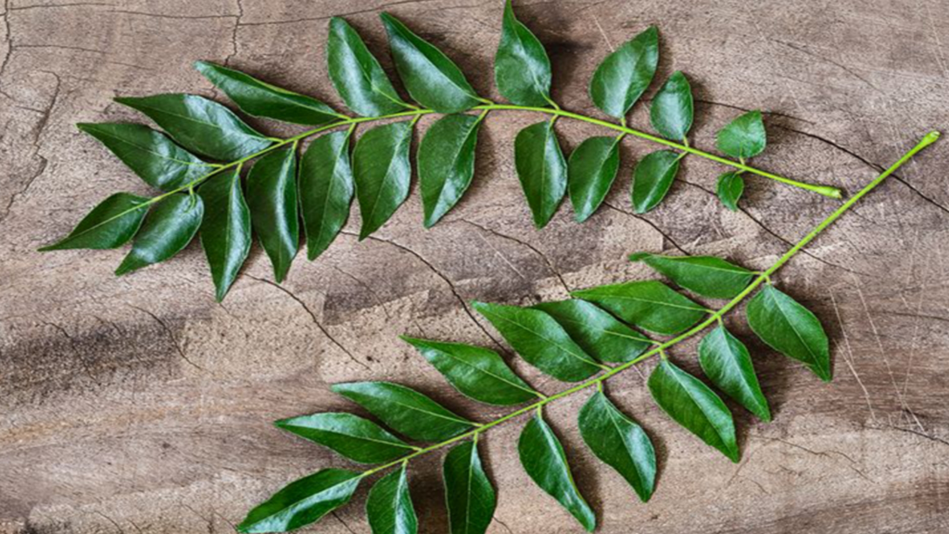 Picsart 24 08 14 13 42 17 391