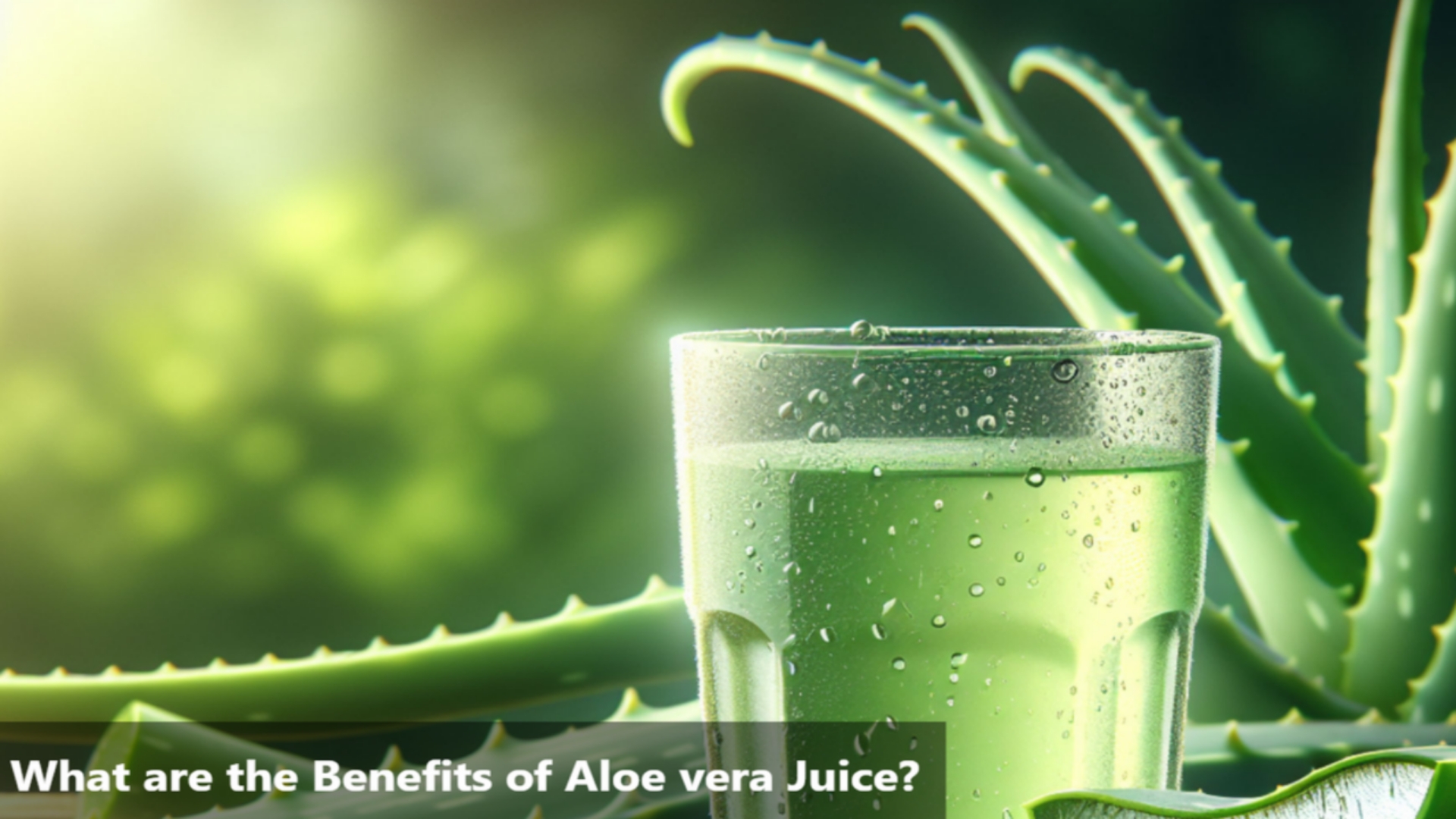 Picsart 24 08 14 13 57 14 308