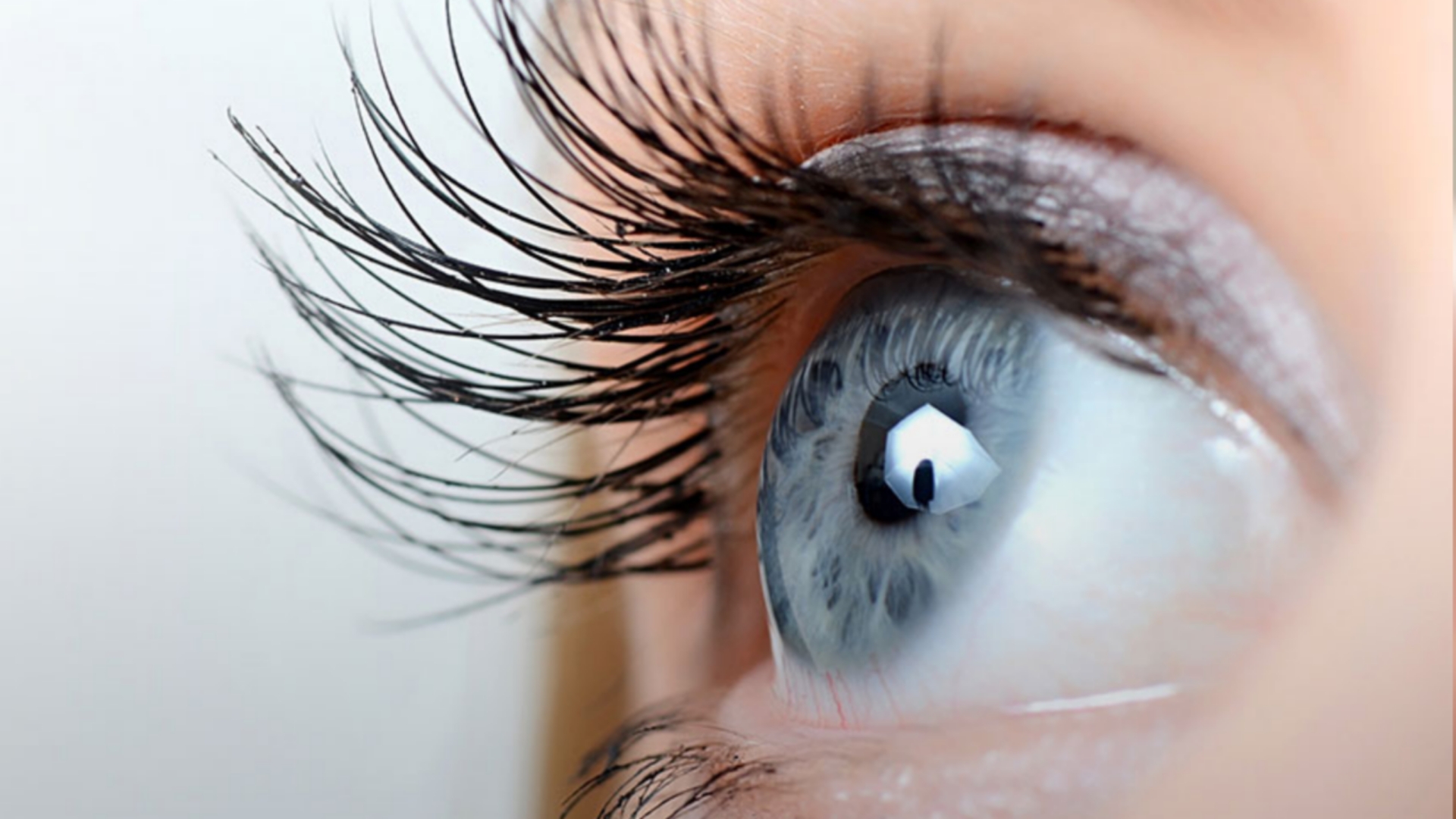 Picsart 24 08 15 15 49 50 636