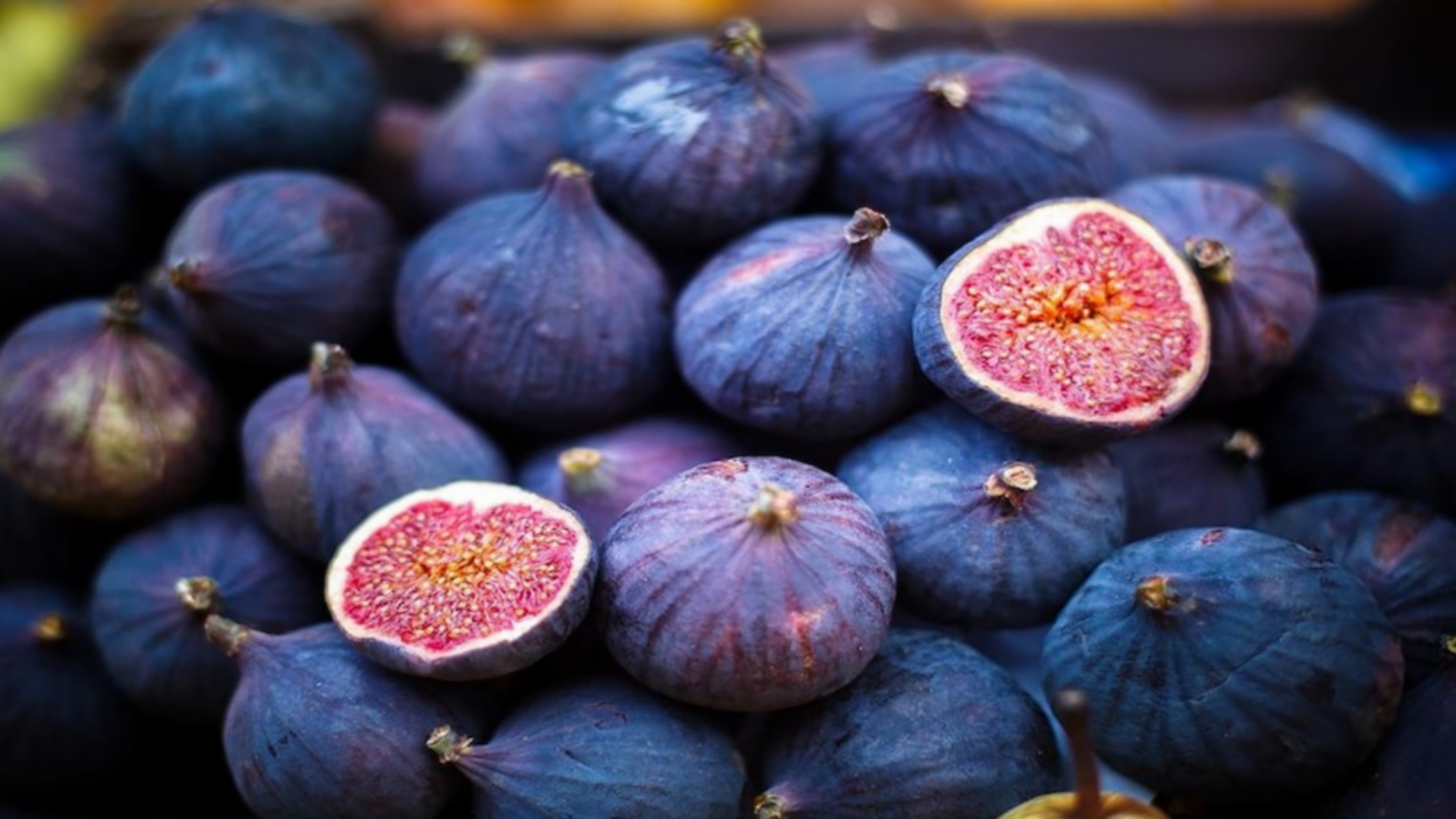 Picsart 24 08 17 11 27 17 713