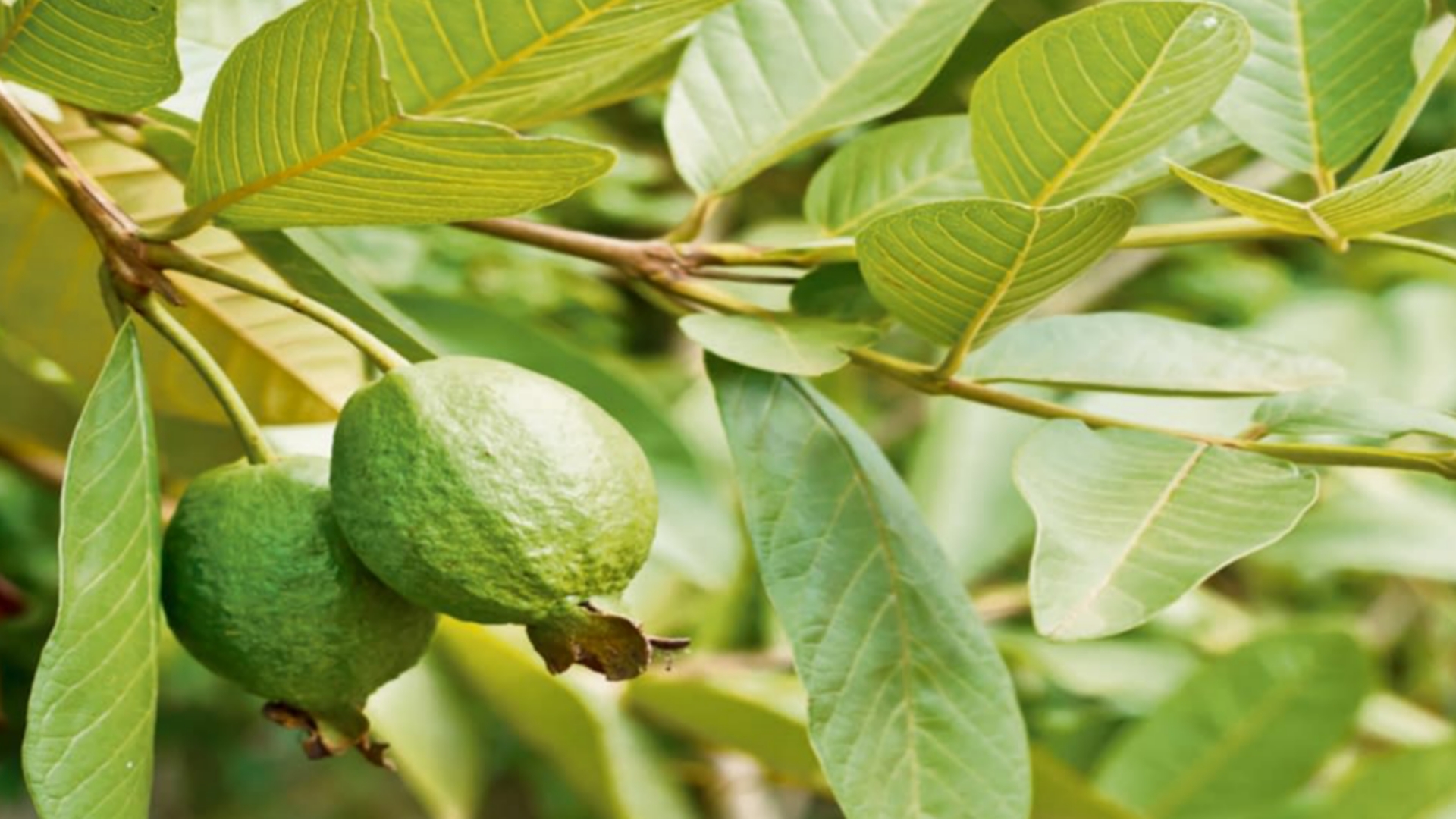 Picsart 24 08 17 13 42 07 693