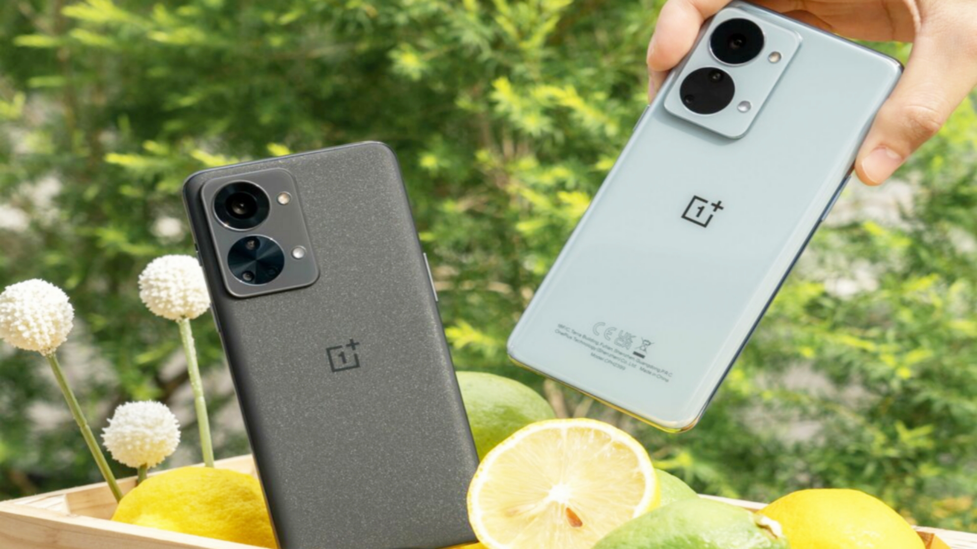 Picsart 24 08 20 11 17 14 347