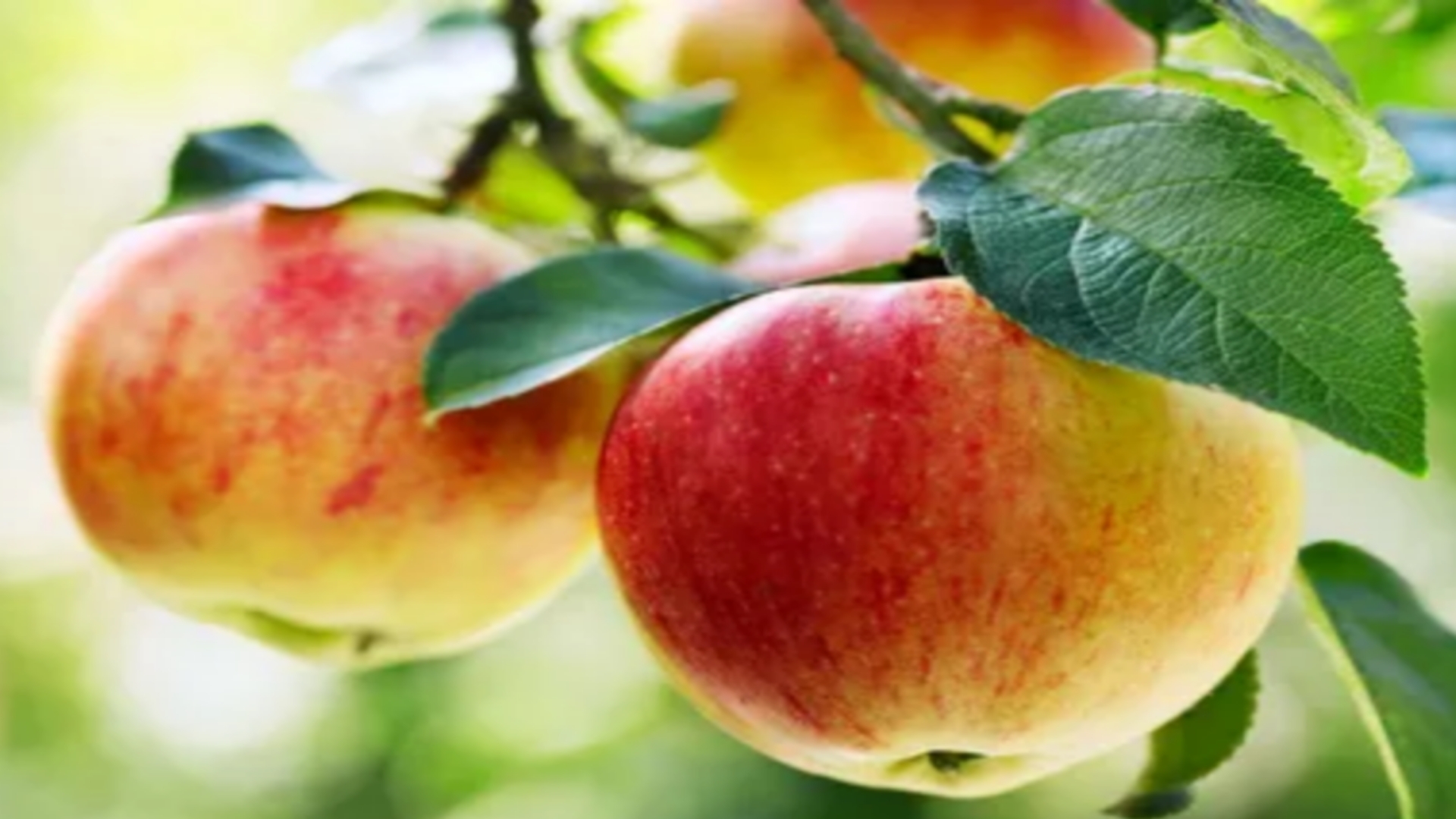 Picsart 24 08 22 10 13 11 066