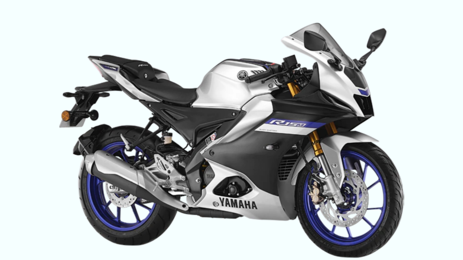 Picsart 24 08 22 10 59 03 587