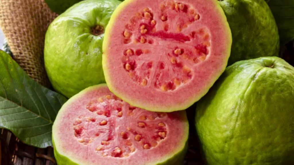 Picsart 24 08 23 12 02 29 104 Picsart 24 08 23 12 02 29 104