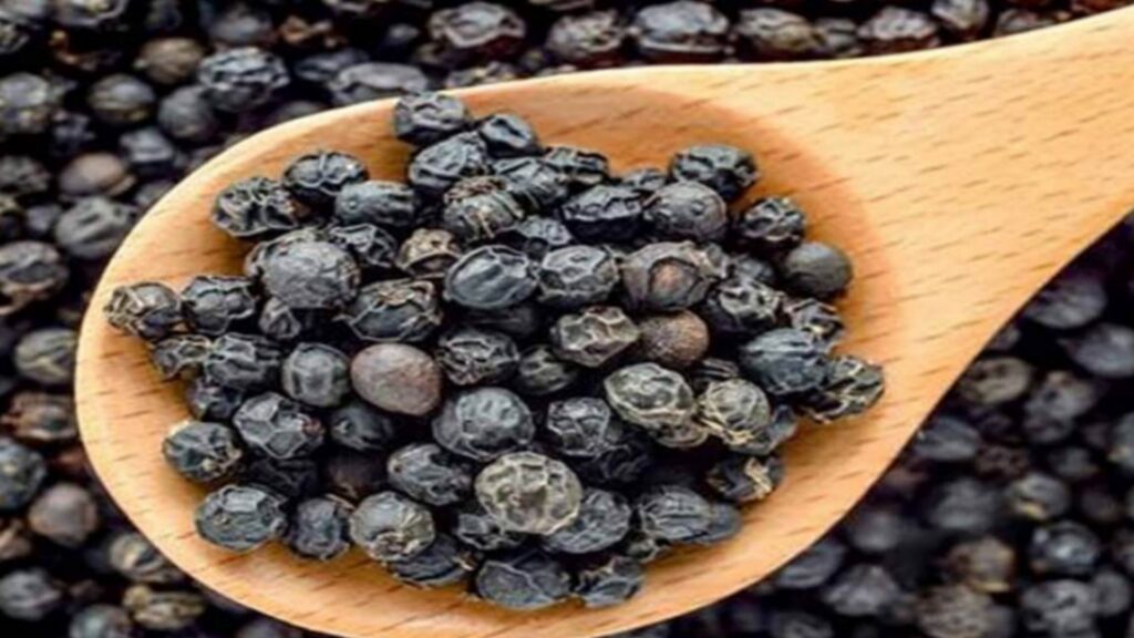 Picsart 24 08 27 14 53 56 539 Picsart 24 08 27 14 53 56 539