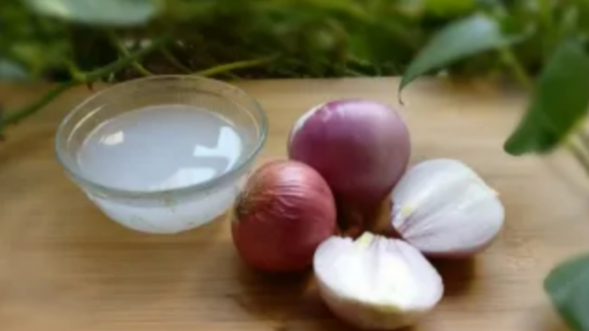 Picsart 24 08 27 18 39 45 485