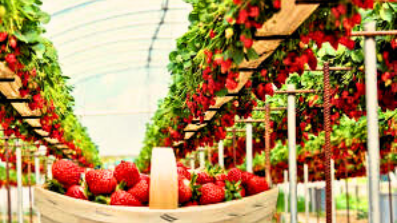 Untitled design 2024 08 15T153846.400