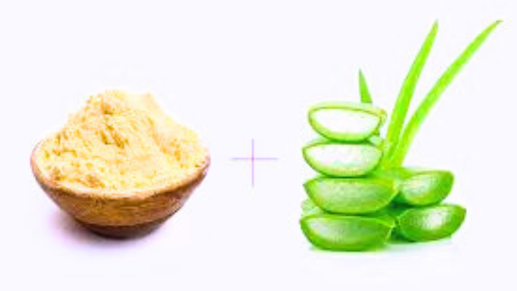 Untitled design 2024 08 17T105258.375 Untitled design 2024 08 17T105258.375