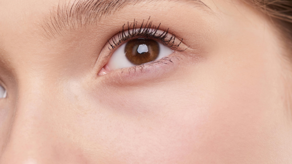 Untitled design 2024 08 17T112150.157 Untitled design 2024 08 17T112150.157