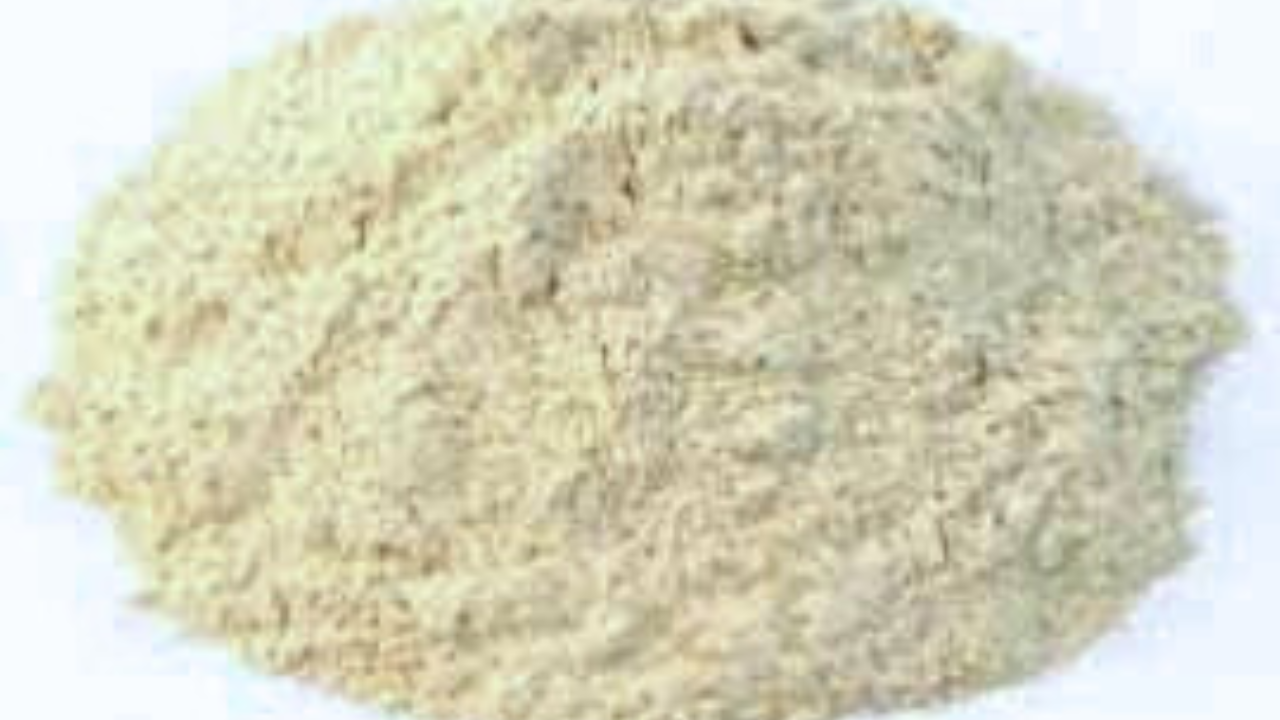 Untitled design 2024 08 17T123254.361