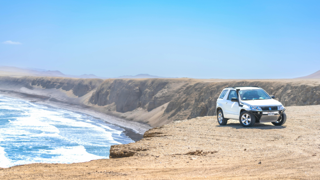 Untitled design 2024 08 21T115243.669